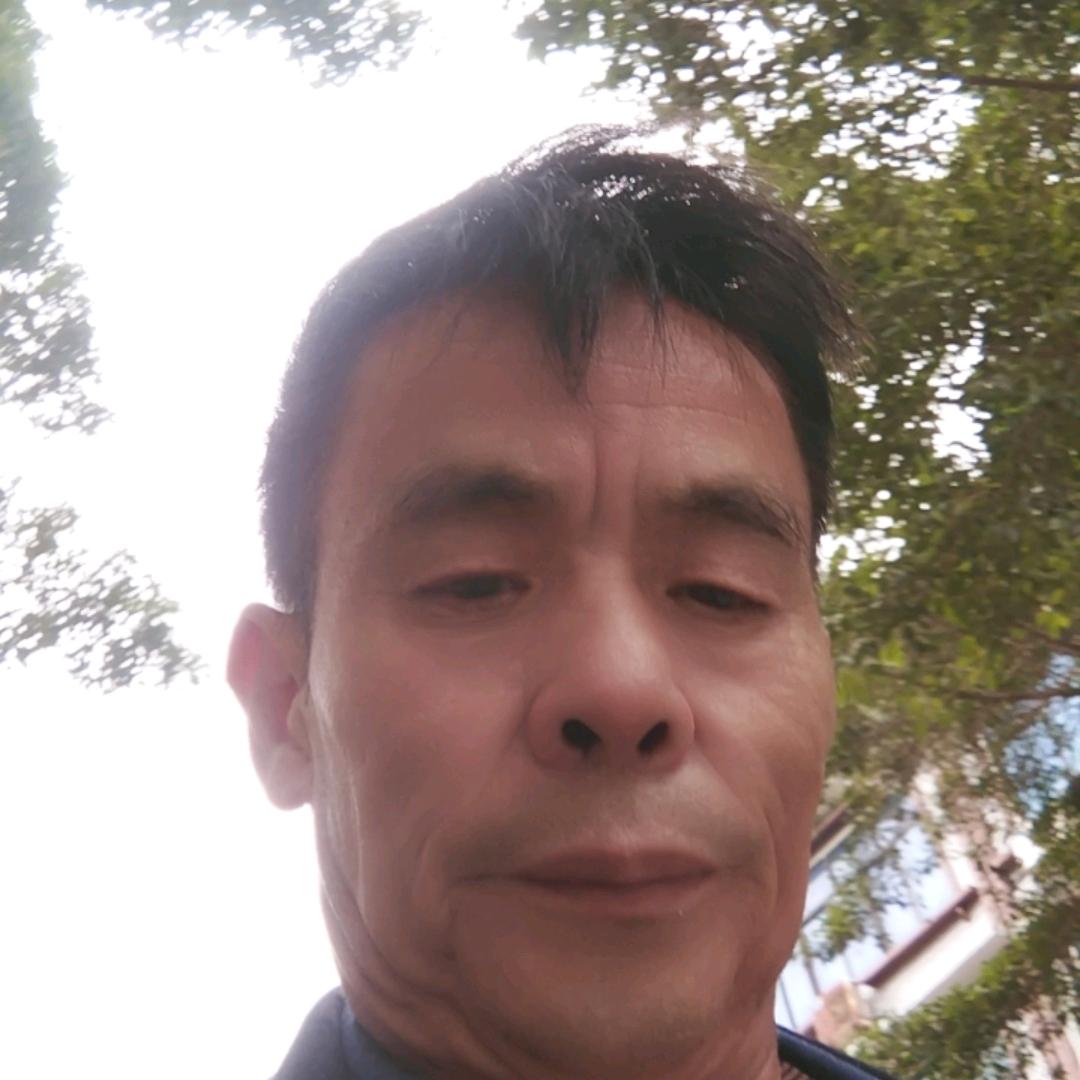 舒老板