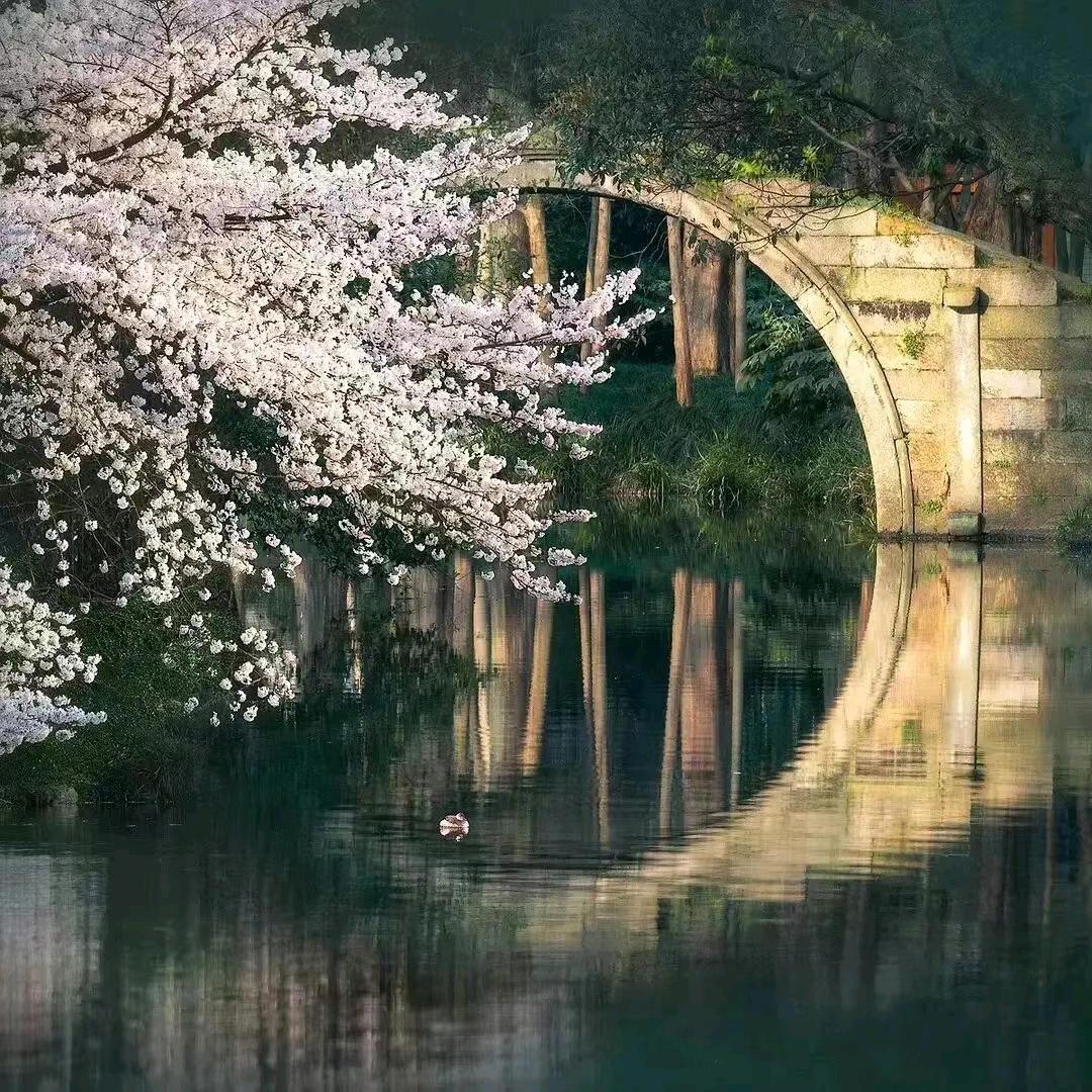 蓝天🌟✨