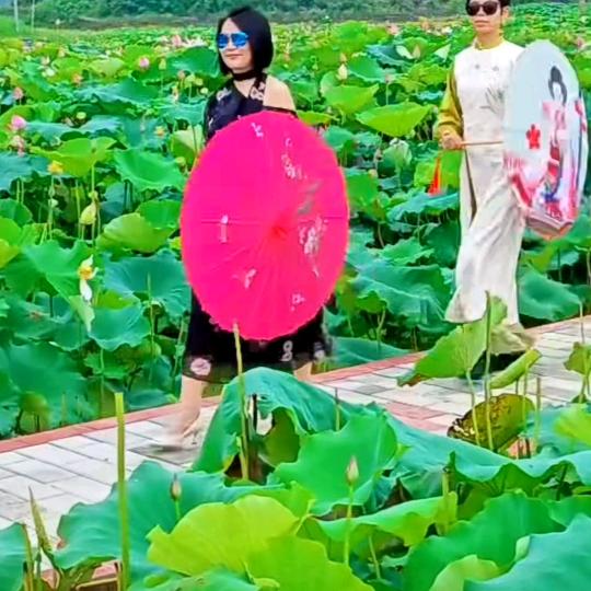 梅梅姐