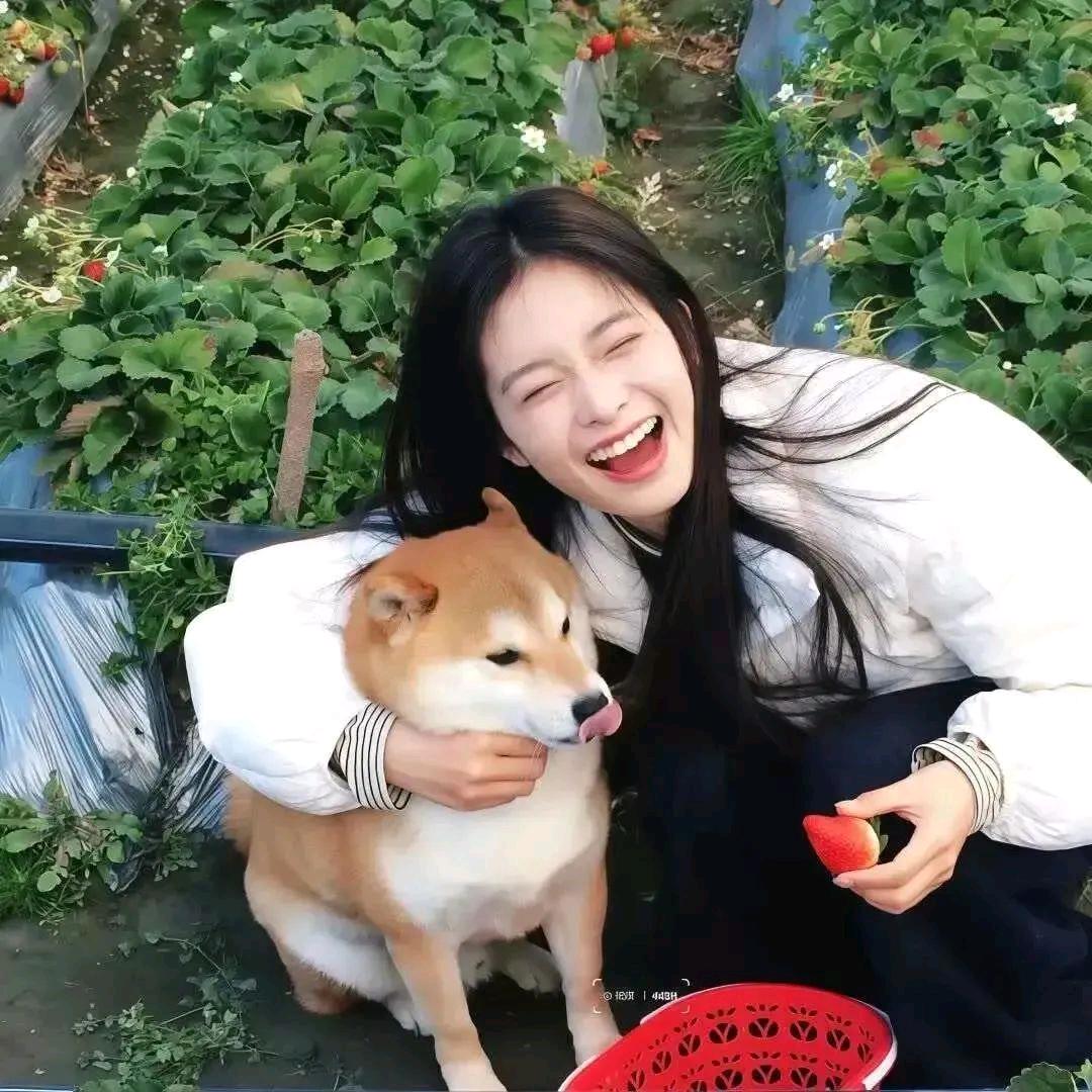 牛杂软糖
