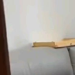 啦哦哦