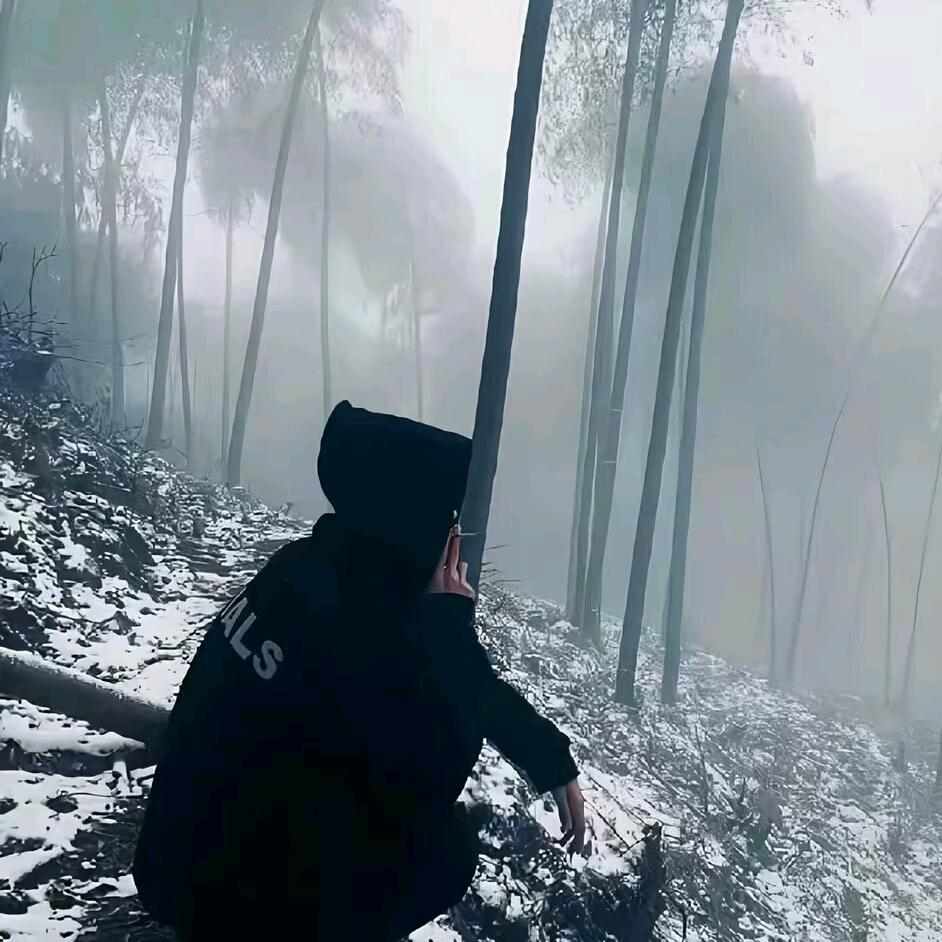 经典音乐，童年回忆