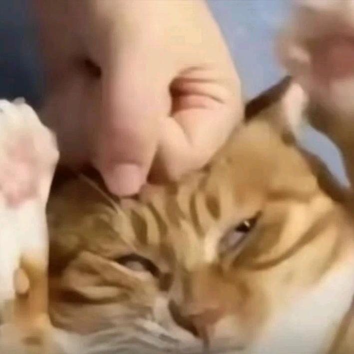 吖咿靓洗护清洁专营店