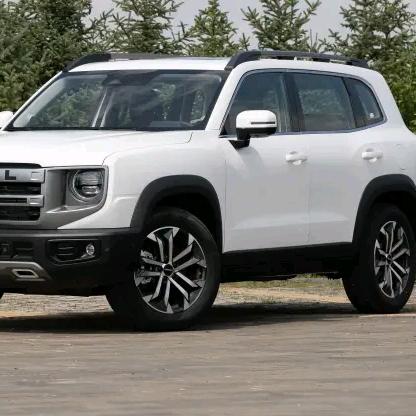 开大狗的小姐姐