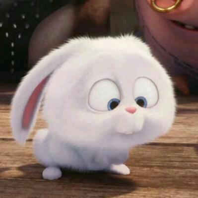 地上跑着一只兔子