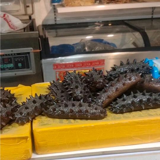 辽宁省大连市。