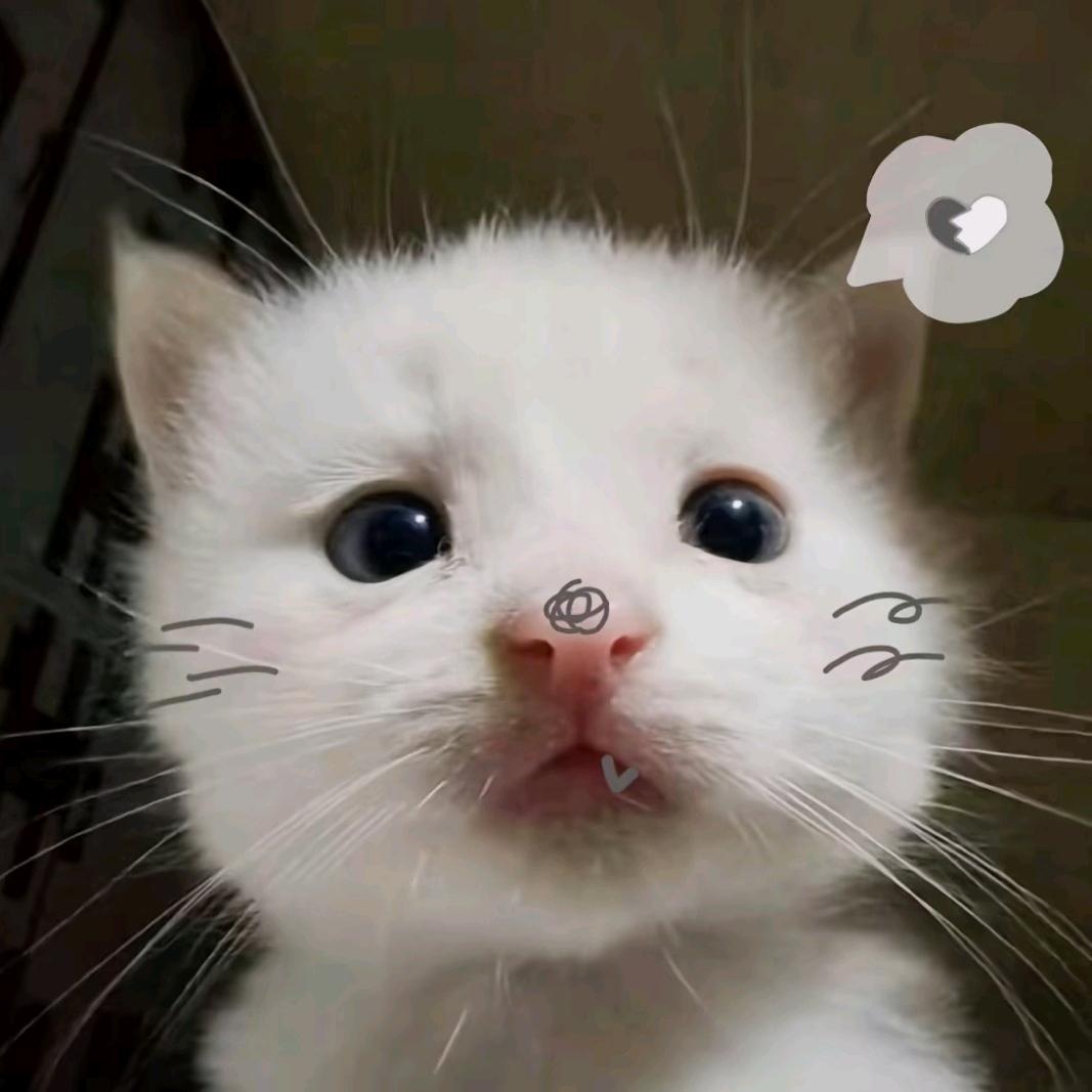 萝卜头（幸运版）