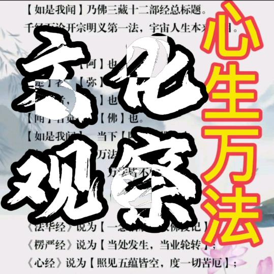 文化观察