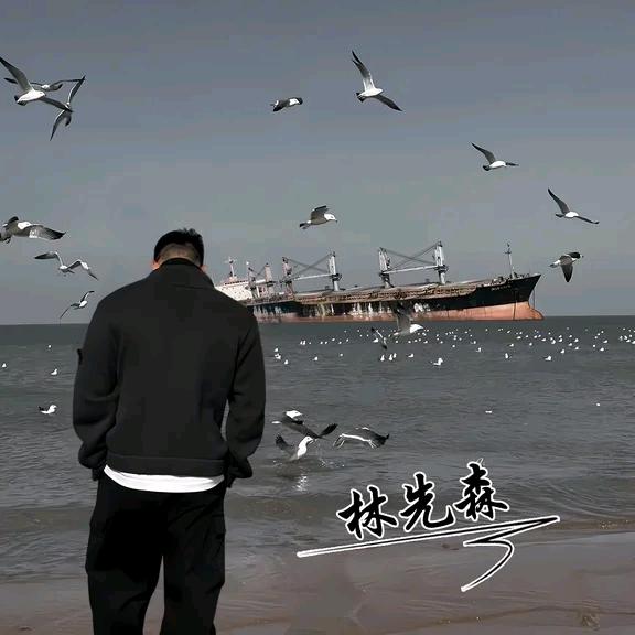 木木🐍