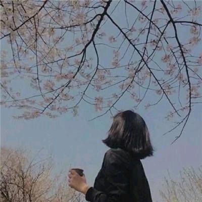 花开花落🐰