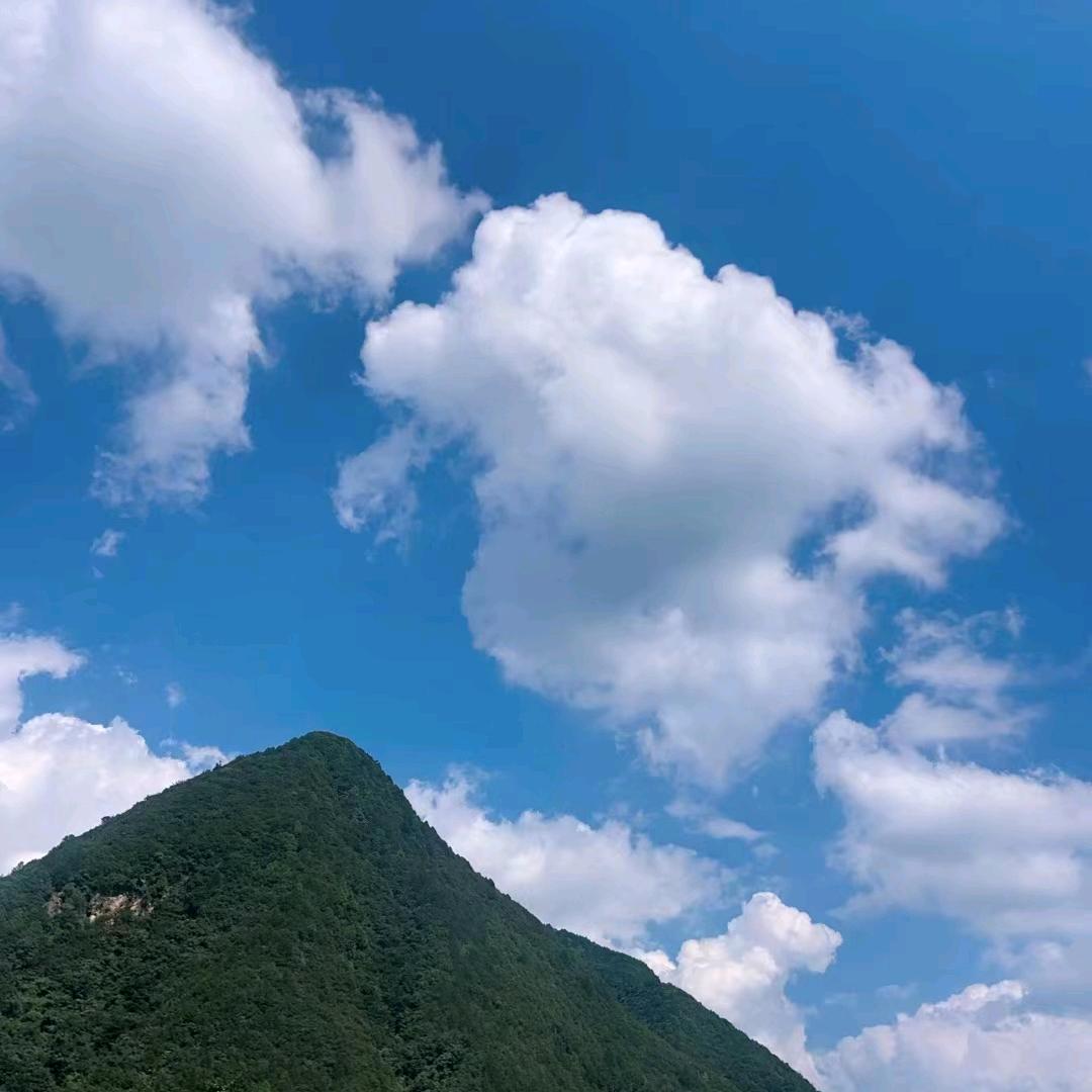a文