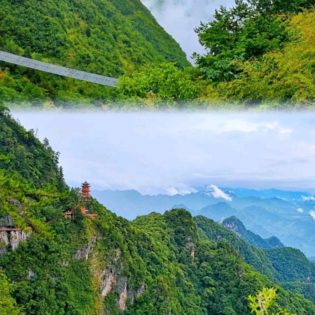 陕南小伙