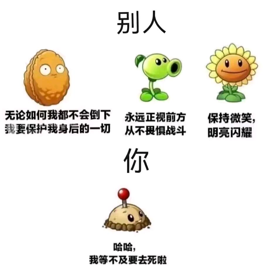 拜托，我只是一只菜菜，能知道什么