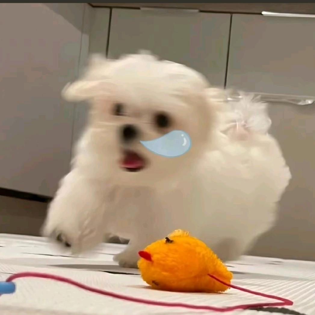 宸曦
