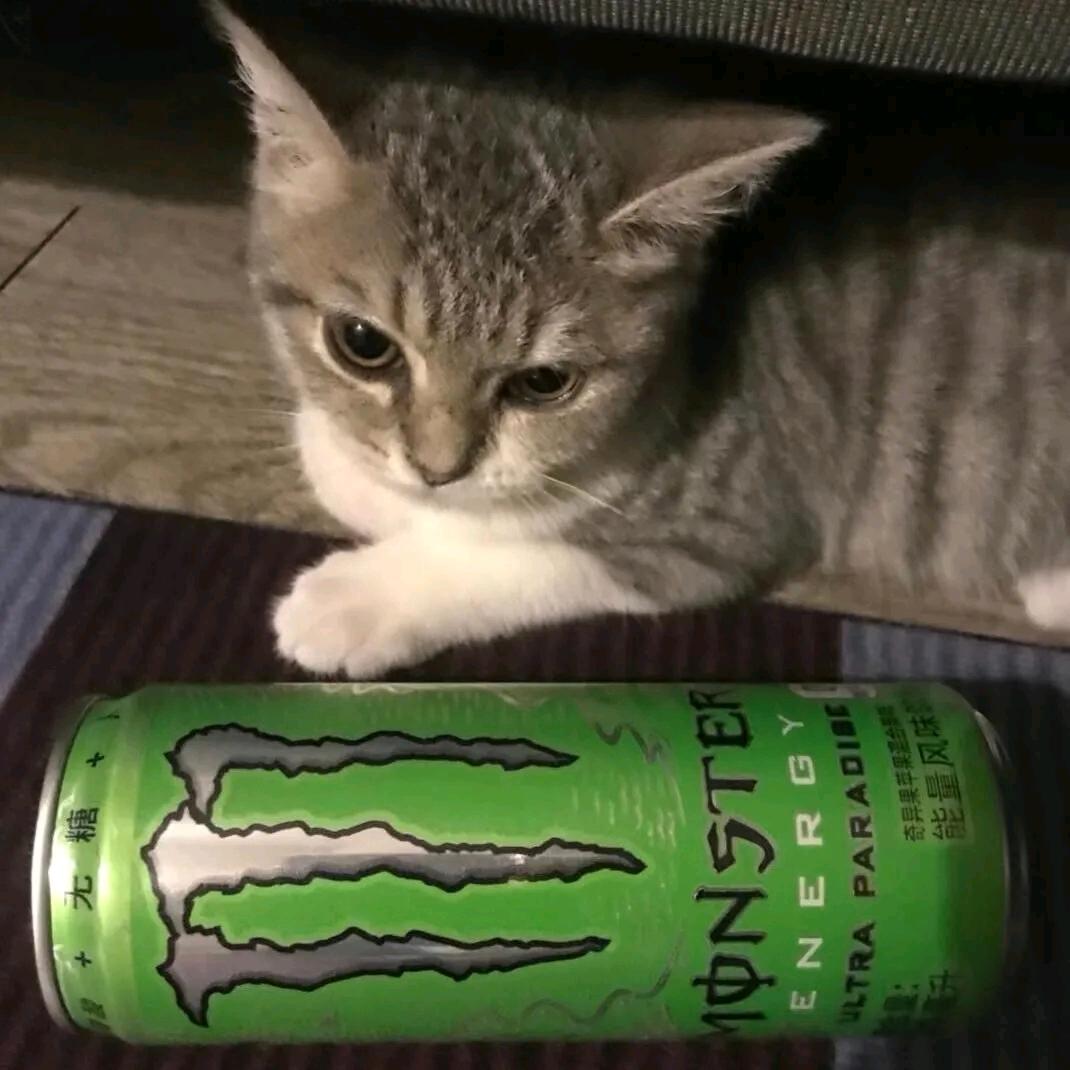 我不叫喂