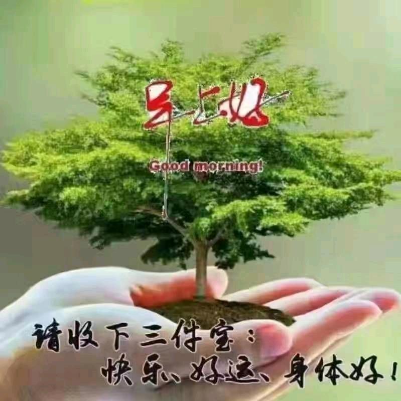 .   吴荣。(金苹果在银网里）拒私聊