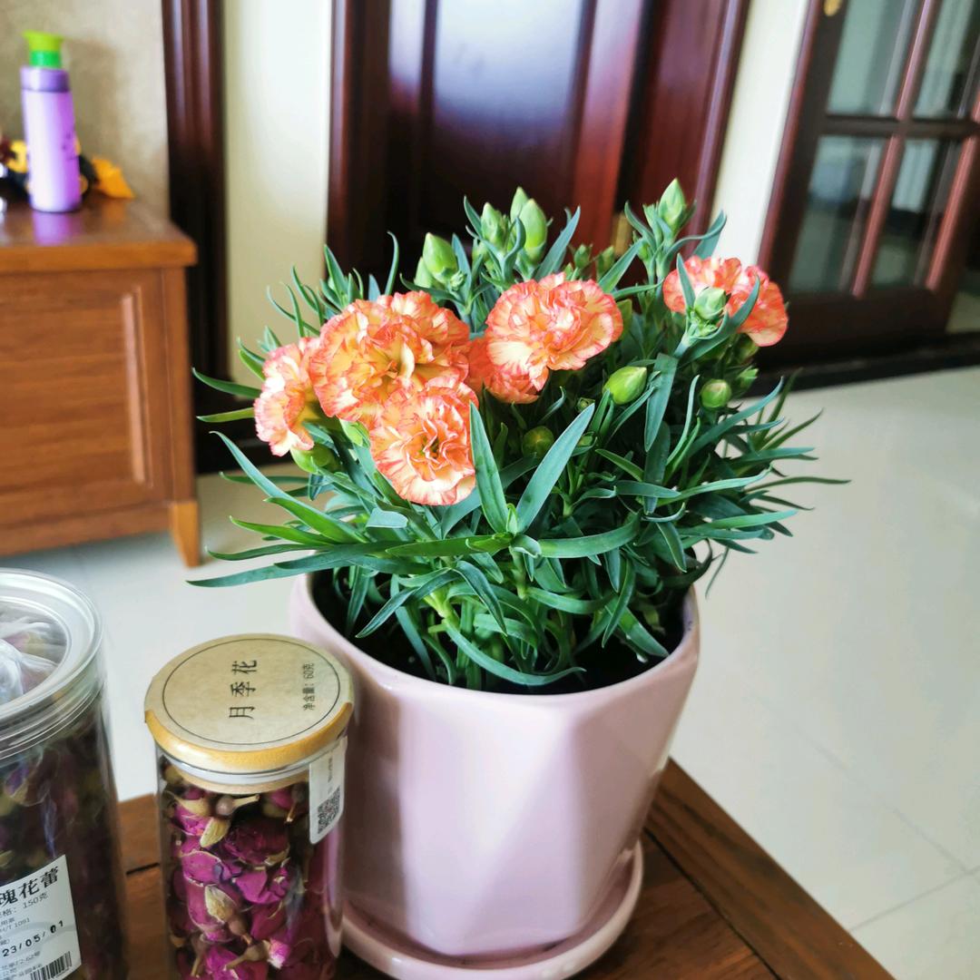 玉华