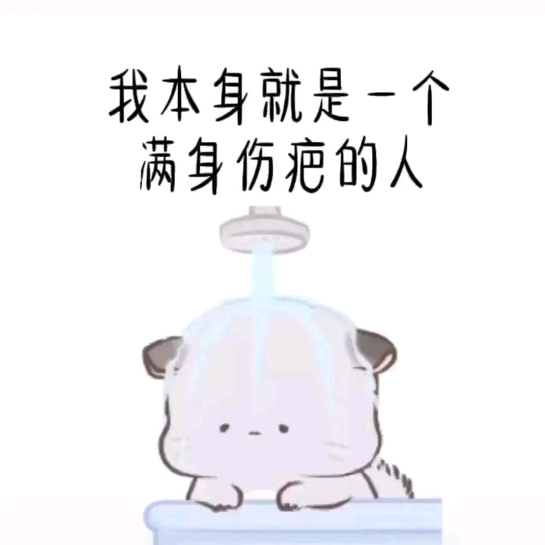 Mr🐻大