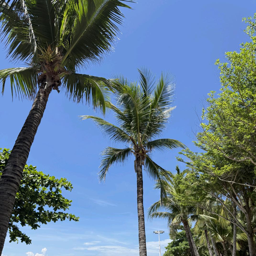 幸福味道💞