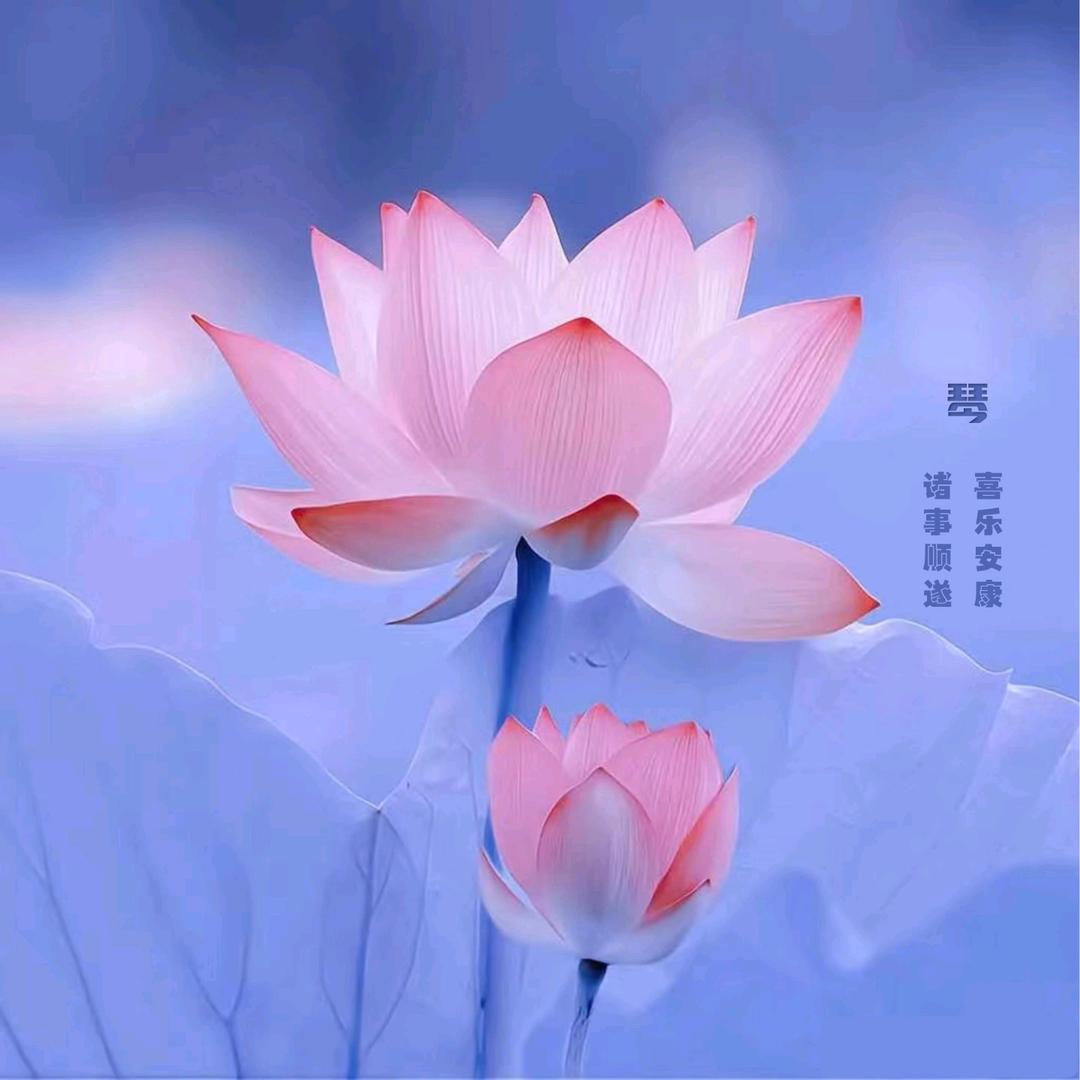 有心