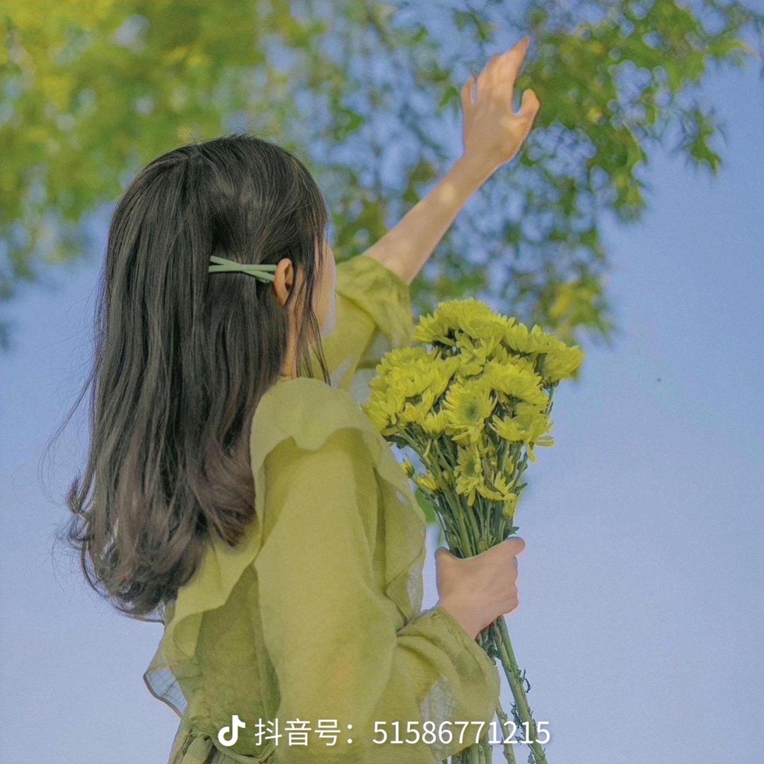 诺宝呀