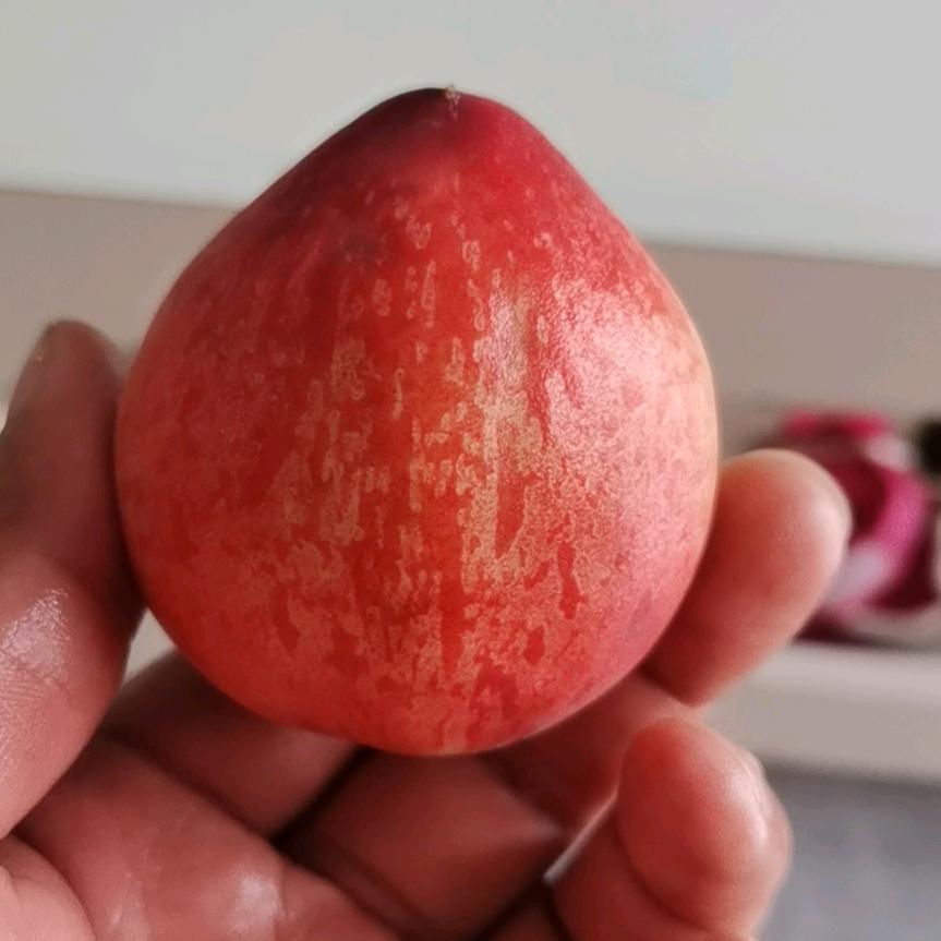 那一天，那一年，你我！