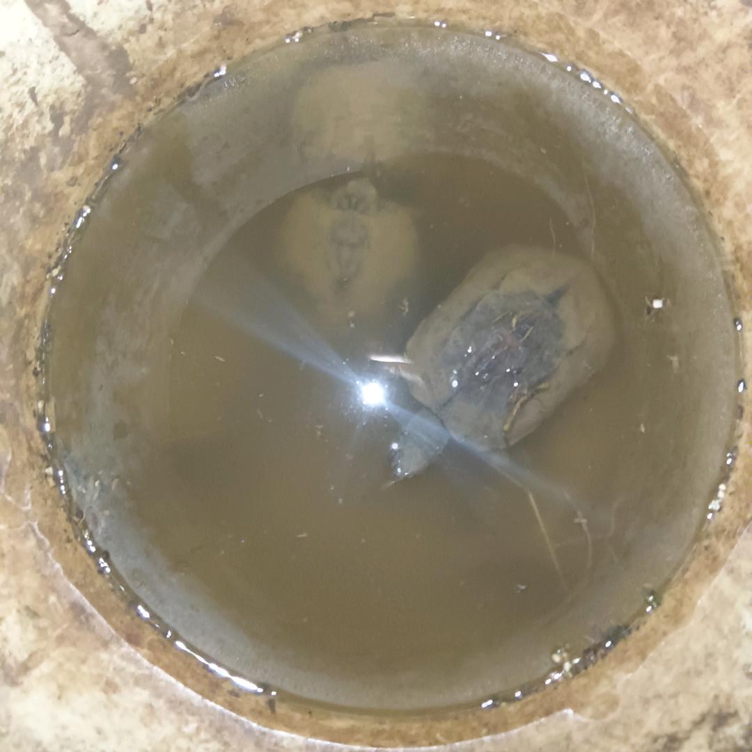 阿贵