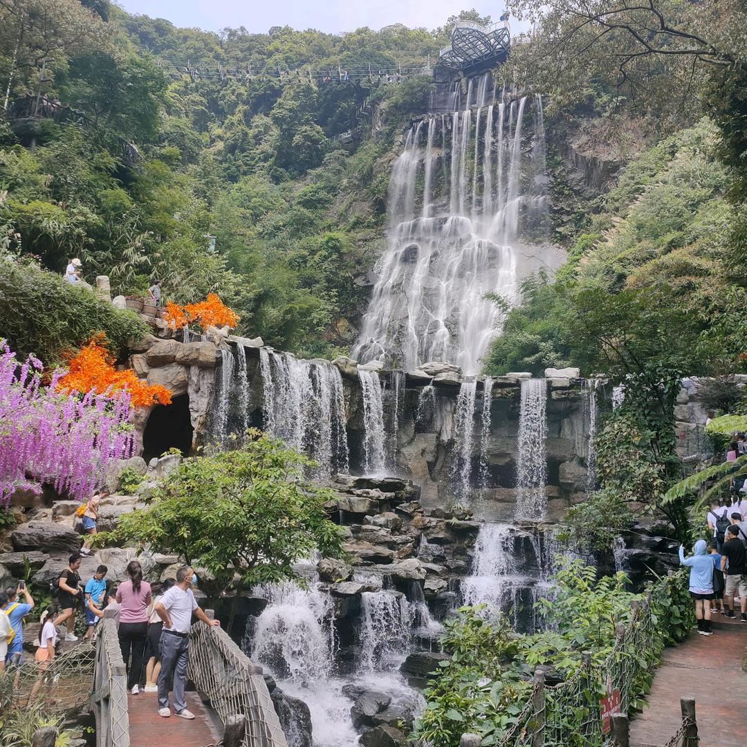 心之彼岸