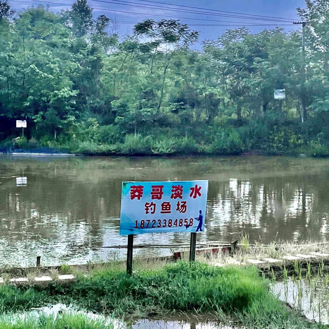 莽哥淡水钓鱼场