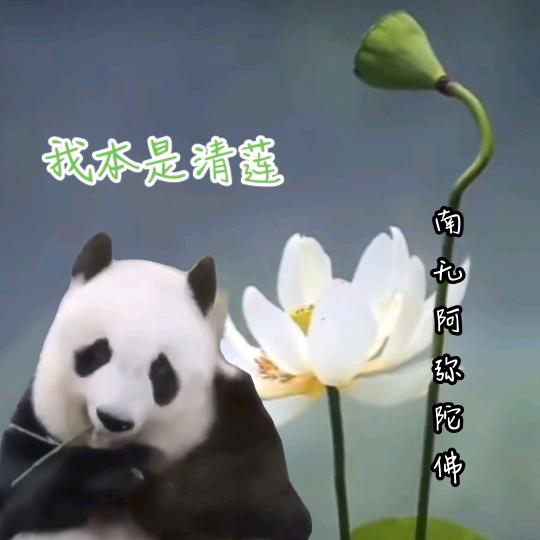 金刚般若