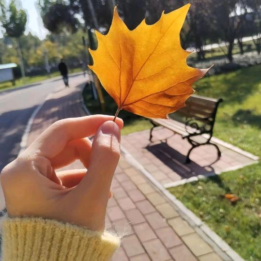 🍒不期🍀而遇🍒