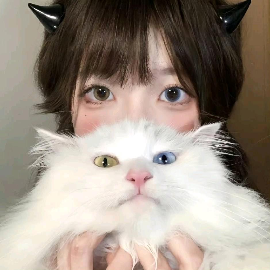 小🐟...