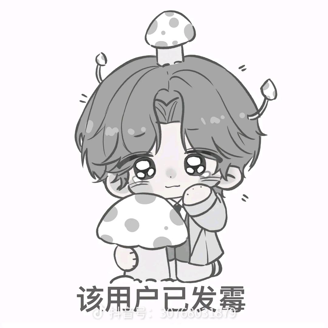 成都职业技术学院木学长