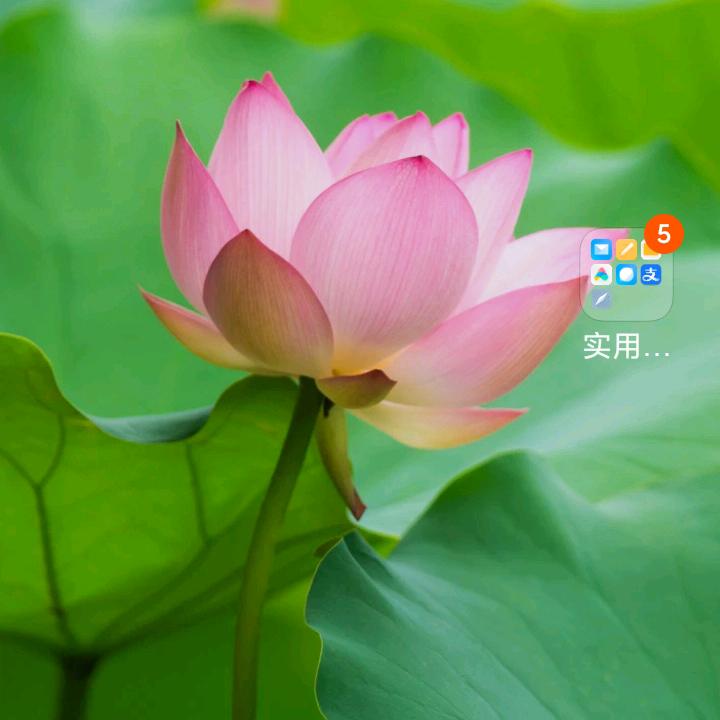 福缘