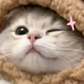 不吃亏了