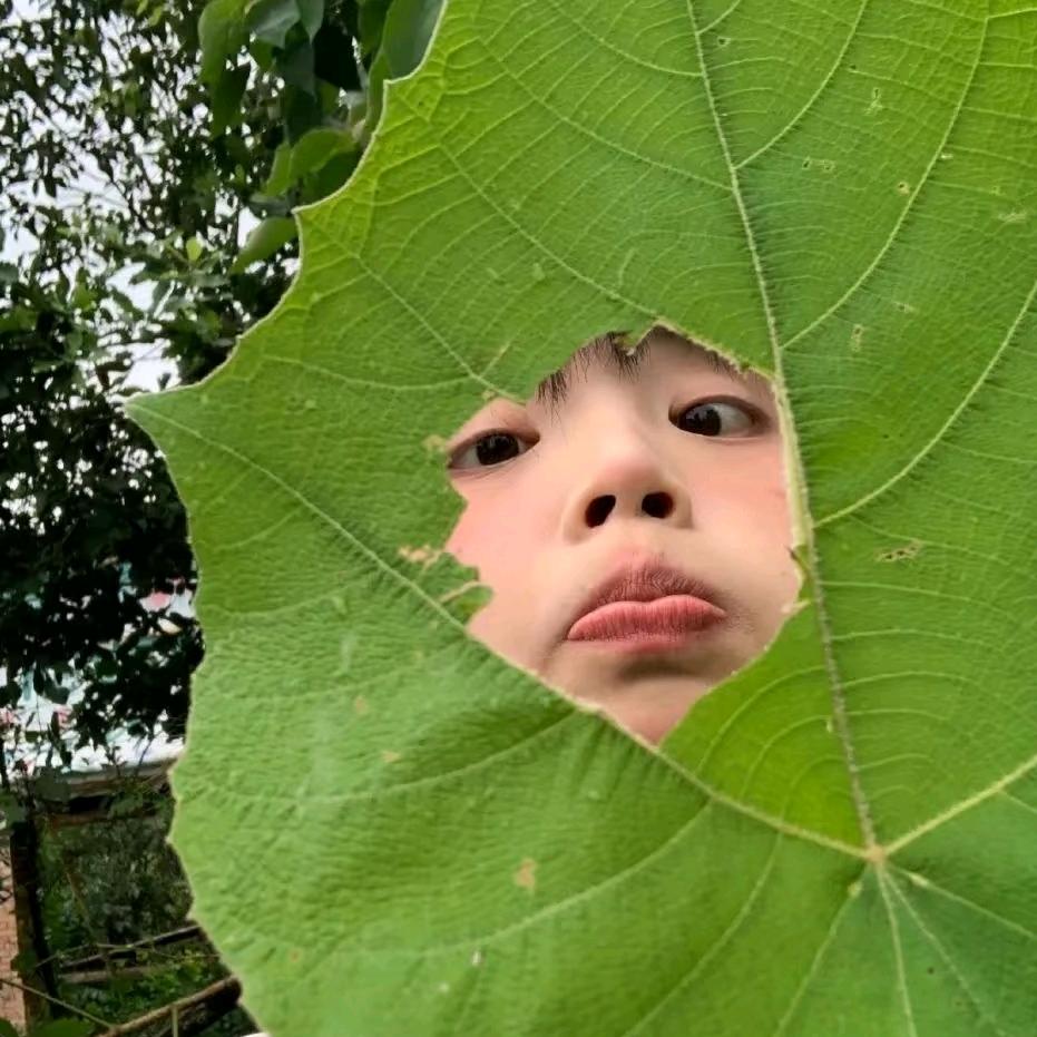 秋晚知🍂