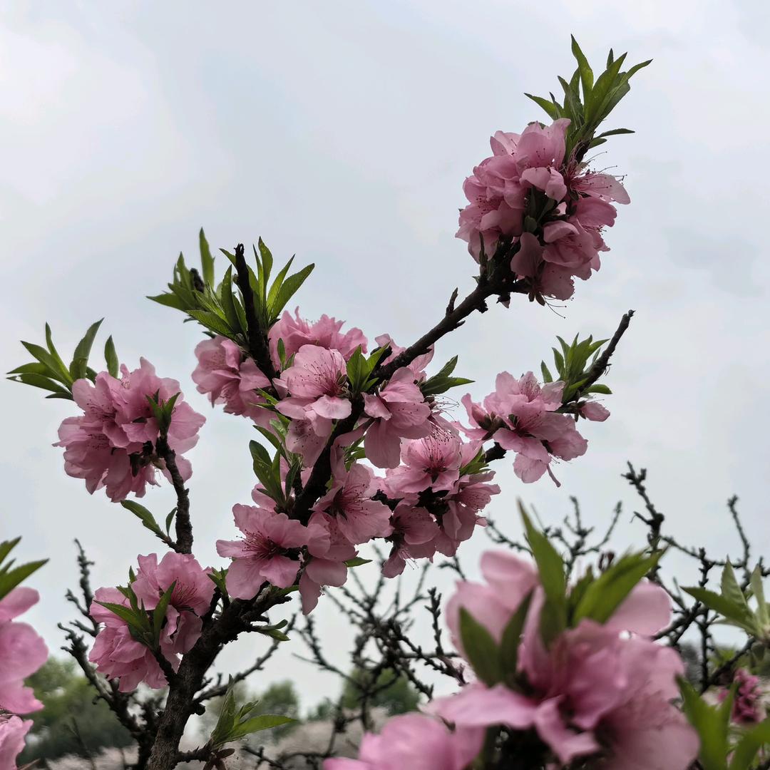 艳小源日用百货