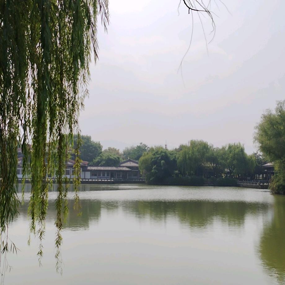 ℒᎭℯ⃝峰会路💫转᭄࿐