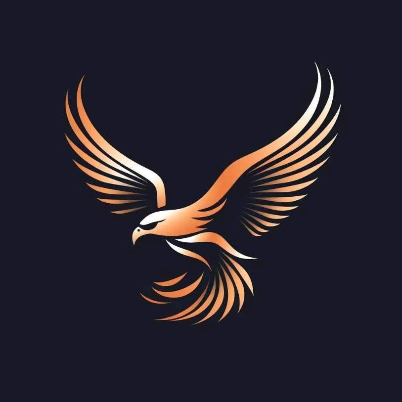 雄鹰~🦅