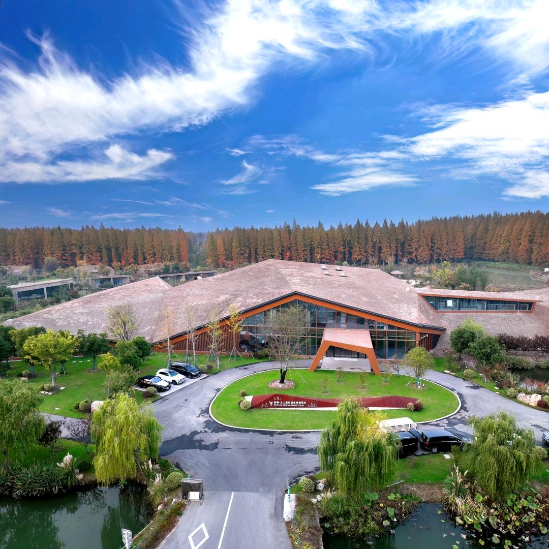 金湖水上森林·港府君澜温泉度假酒店