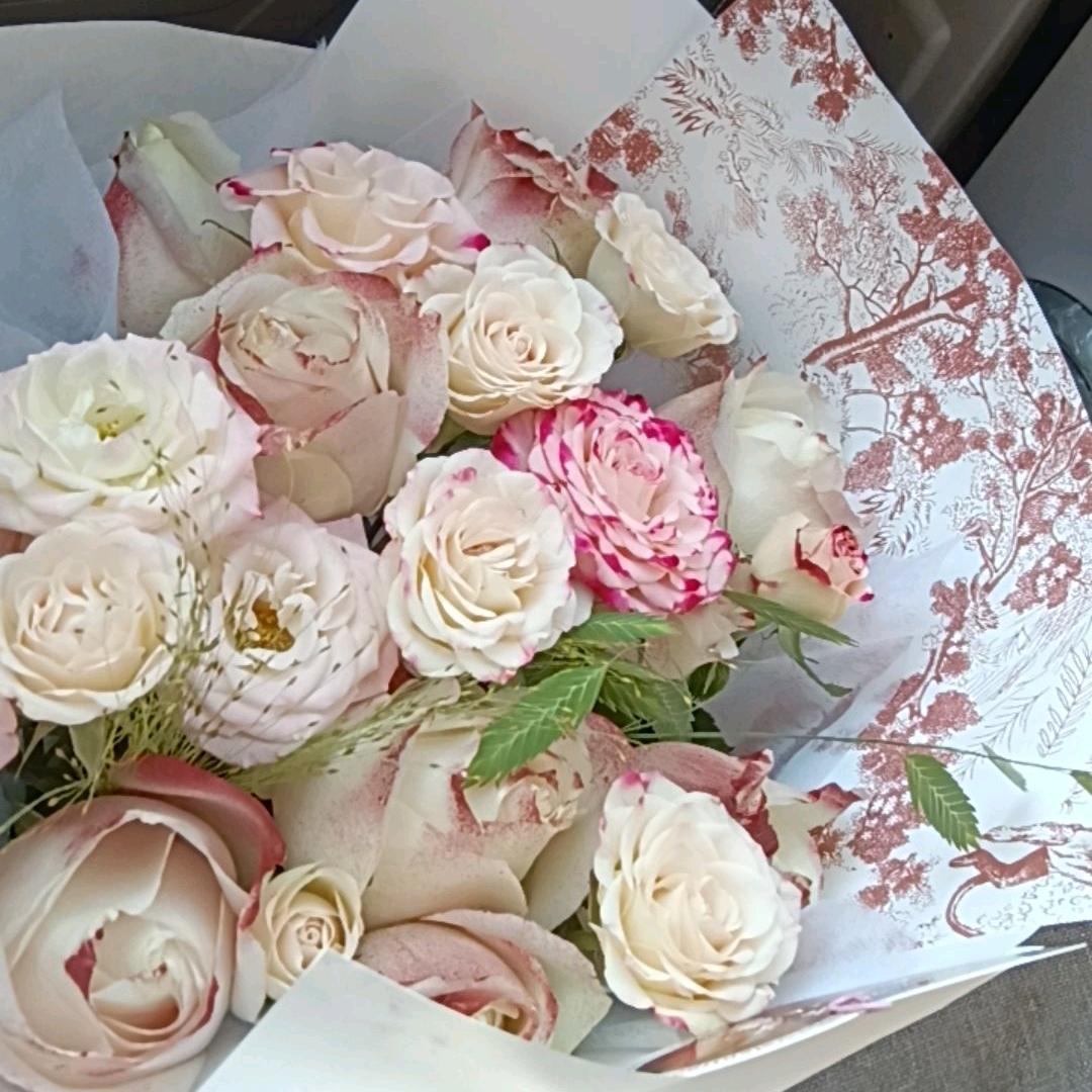 向阳花自开🌻