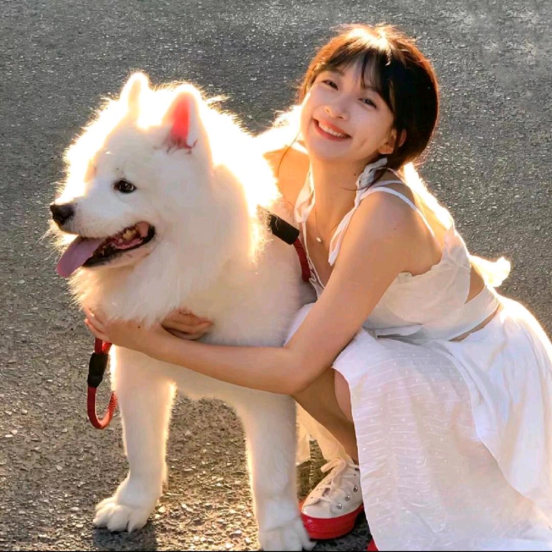 西西喵