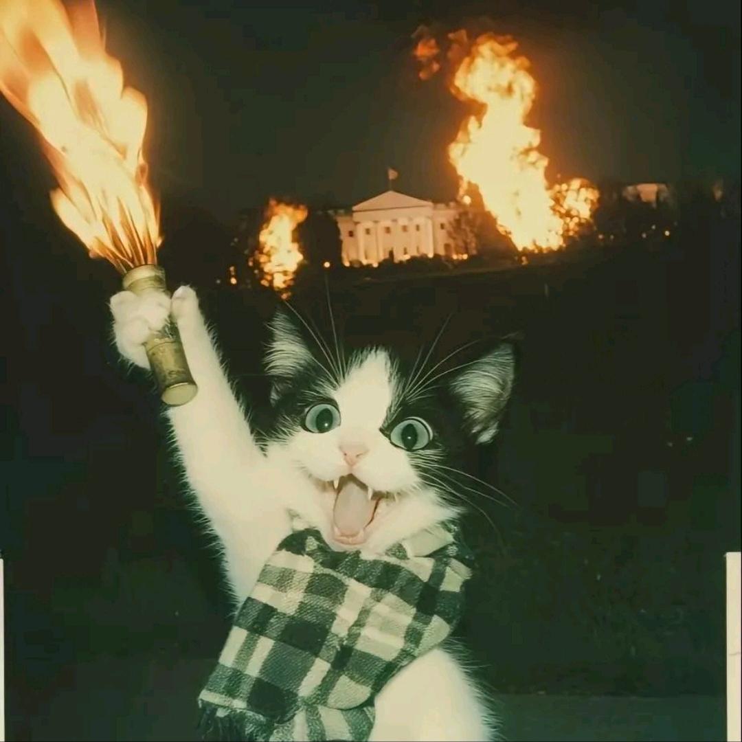 𝑬𝒂𝒔𝒐𝒏㋛✨
