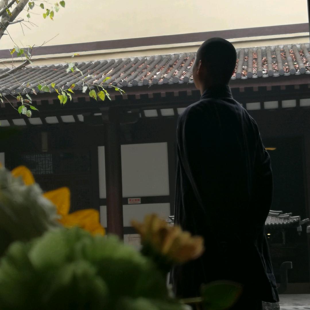 ༆࿄宗师父࿄࿐