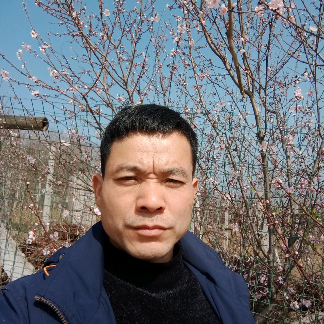 徐家木业