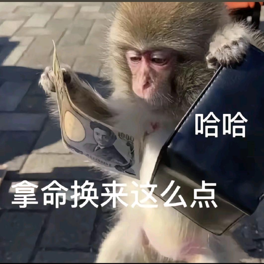 小羅没故事