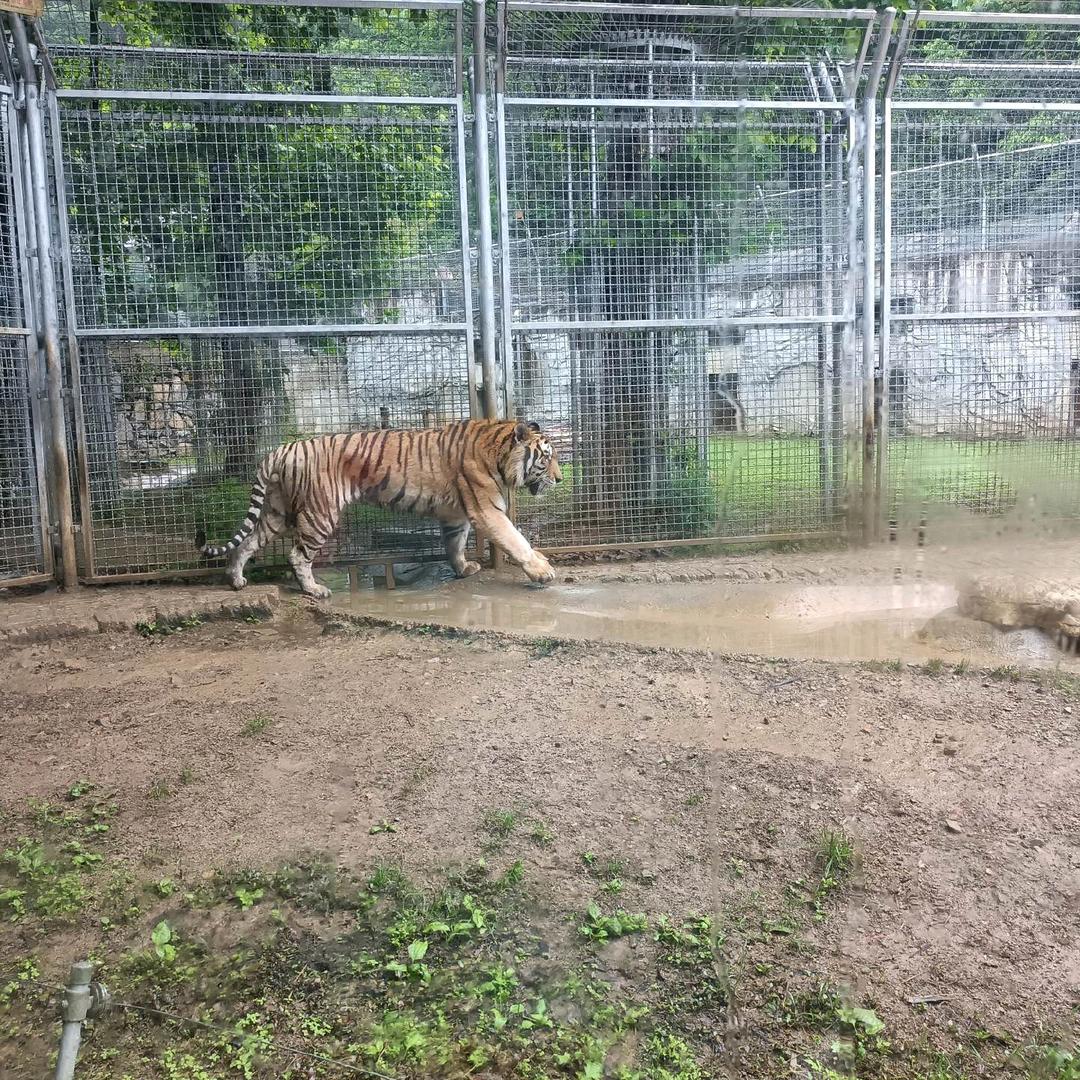 用户576176058199张天富