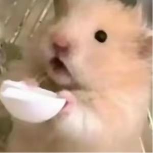 低调任性