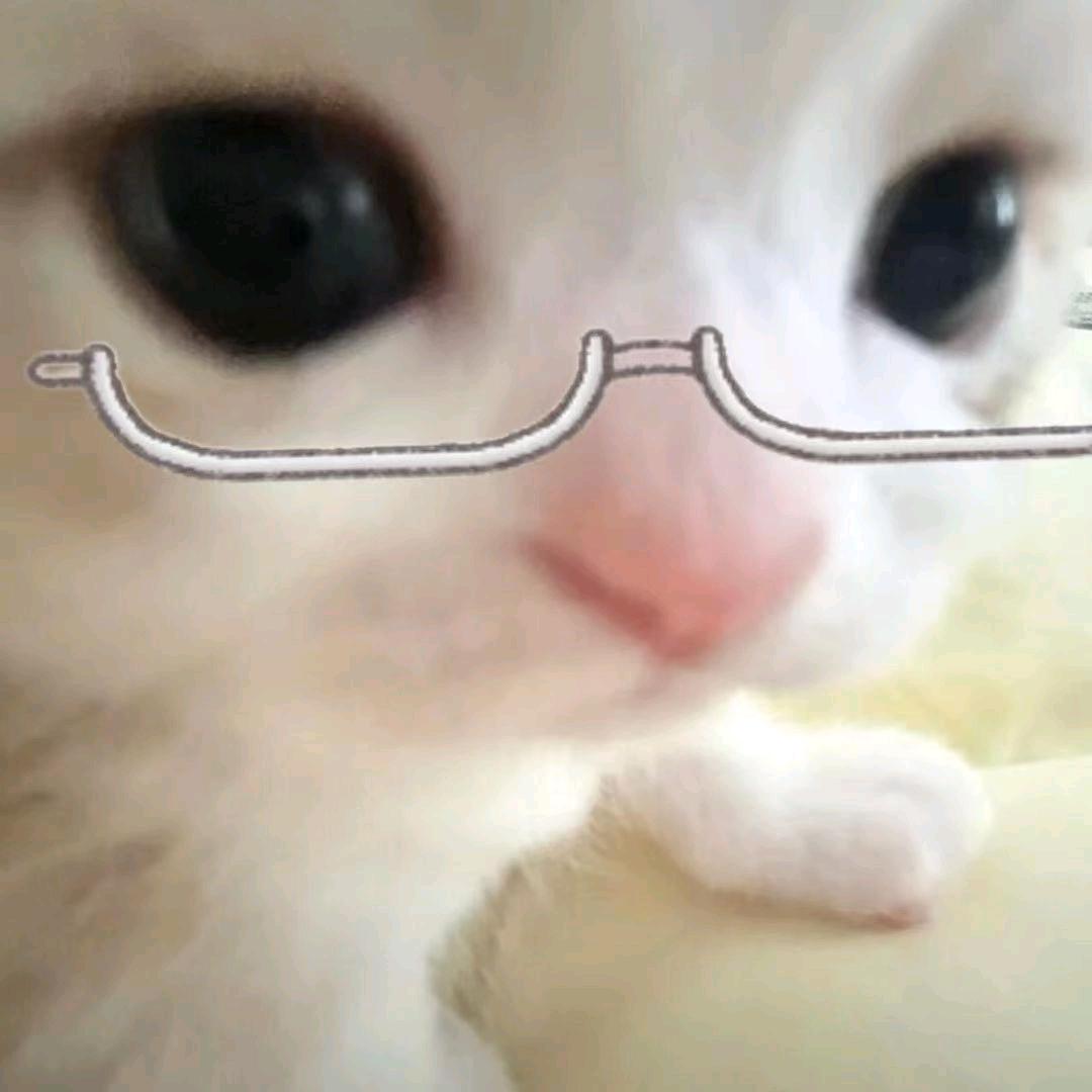 每天都要开心一点