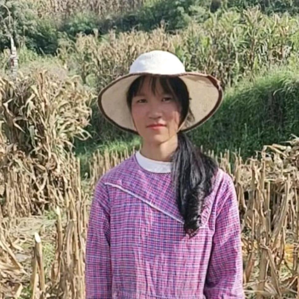 杨柳小慧慧《暂退》